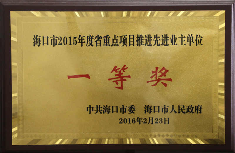 海口市2015年度省重点项目推进先进业主单位一等奖